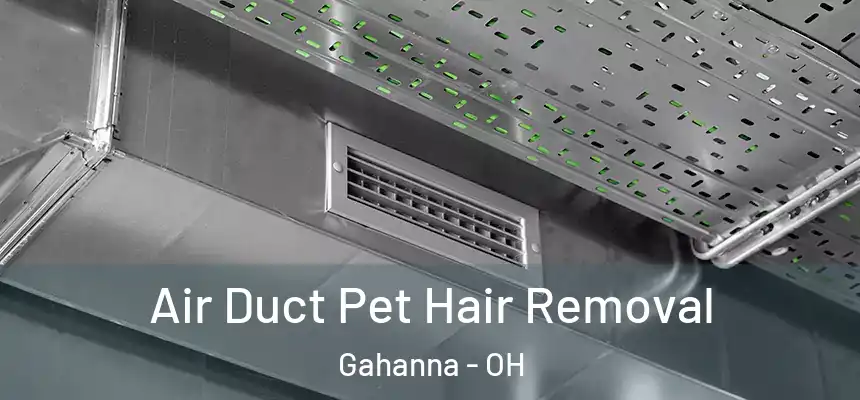  Air Duct Pet Hair Removal Gahanna - OH
