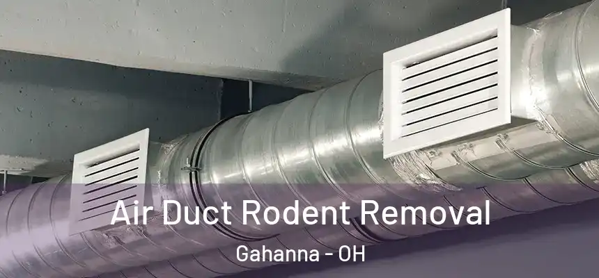 Air Duct Rodent Removal Gahanna - OH