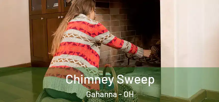  Chimney Sweep Gahanna - OH