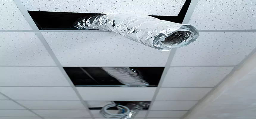 Affordable HVAC Sanitizing After Pest Removal in Gahanna