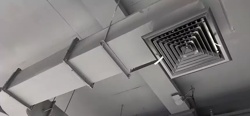 Restorative Allergy Relief Vent Cleaning – Coil, Blower & Housing Detail in Gahanna