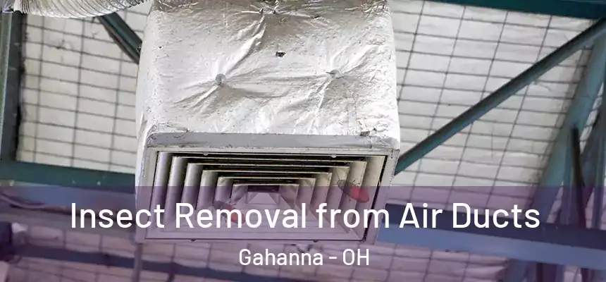  Insect Removal from Air Ducts Gahanna - OH