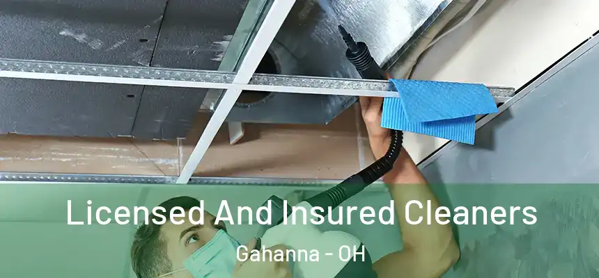  Licensed And Insured Cleaners Gahanna - OH