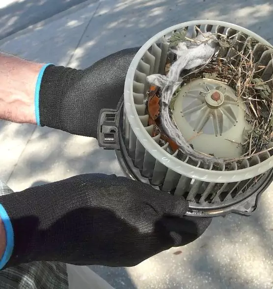 About Air Duct Mice Removal in Gahanna, OH