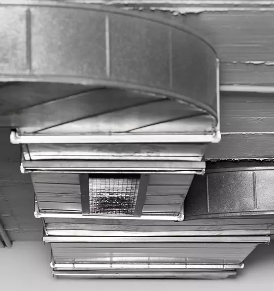 Professional Air Duct Pest Removal in Gahanna, OH