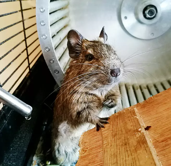 Why Homeowners & Businesses Trust Us Gahanna, OH